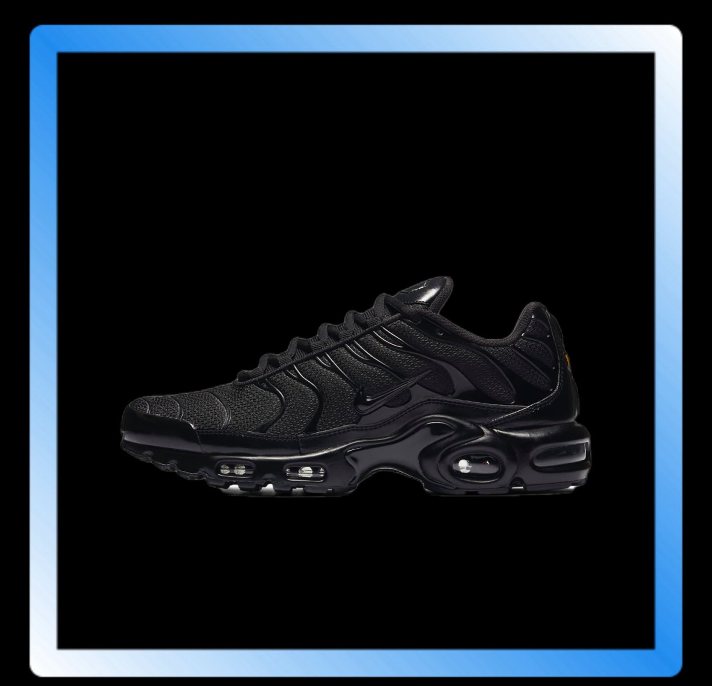 Nike Air Max Plus TN Shoes