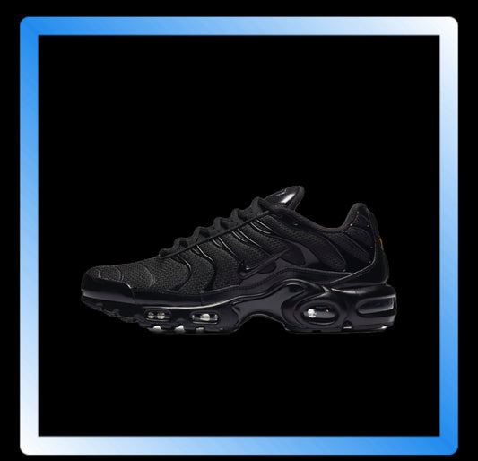 Nike Air Max Plus TN Shoes